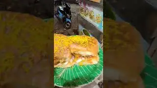 new vlog of kamareddy #newvlog #blogger #vlog #videoblog