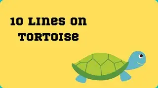 10 Lines On Tortoise/10 Lines Essay On Tortoise/Essay On Tortoise/10 Lines On Turtle In English