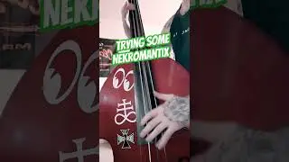 Who Killed The Cheerleader? #shorts #psychobilly #slapbass #uprightbass #doublebass #rockabilly