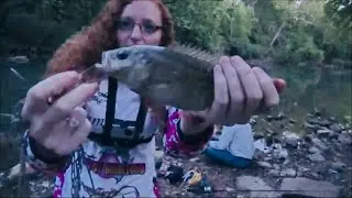 How to Catch Finicky Fall Goggle Eye/Rock Bass. (Cold Weather Fishing)