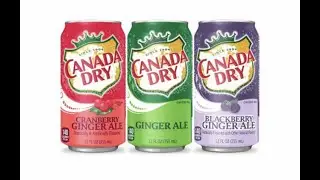 Mr. Wildcat Food and Beverage Reviews - Canada Dry Ginger Ale, Cranberry and Blackberry flavors
