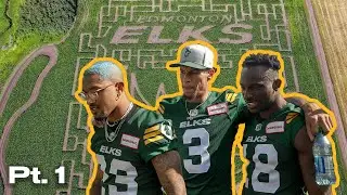 Can the Elks Find their Way Through a Corn Maze? (Part 1)
