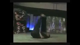 South Coast Martial Arts - Wushu & Kungfu