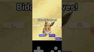 Bidoof Evolves in Pokemon Conquest