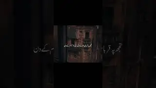 Zehni x Zoo