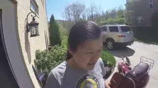 Genuine Stella - What a surprise & First steps