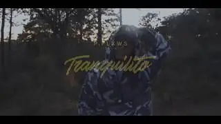 P.FLXWS --- TRANQUILITO (Audio) @pablorcha