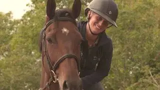 New British Horse Feeds Cooked Linseed