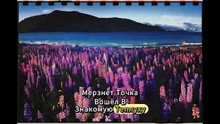 Ночной звонок от тёщи… и я сразу понял, что случилось что-то серьёзное