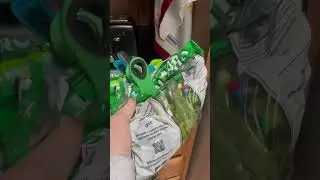 MY BEARDED DRAGON&rsquo;S DAILY (GREENS) DIET!!