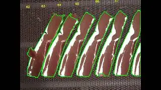 Polygon Annotation for AI-Powered Meat Segmentation | Wisepl | Polygon Annotation