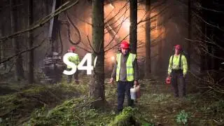 S4C 2014 Ident: Forestry (30