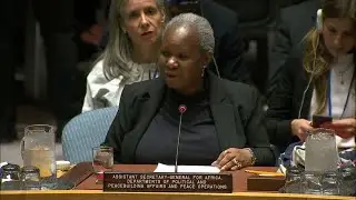 Sahel: Urgent Action is Needed, Terrorist Attacks have Multiplied - Security Council Briefing