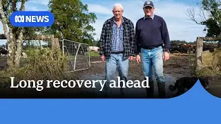 NSW flood devastation becomes clear | ABC News