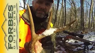 Quick Tip:  Tarsal Glands