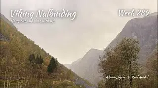 Viking Nalbinding with Karin & Karl; Week 289