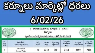 6Today Kurnool Market Ratetoday Kurnool Market Rate Kgtoday Kurnool Kurnool Market Yard Rates Today