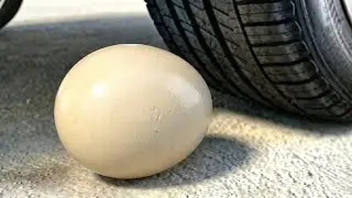 BIG EGG COCA COLA BALLOON VS CAR, Coca Cola Zero, PowerAde, Fanta, Sprite, Fruko and Mentos Diff Und
