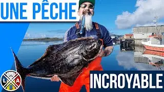 Je traque de véritables MONSTRES marins !