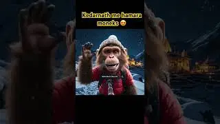 &ldquo;Yeh Monkey Kedarnath Ki BARF Mein Kya Kar Raha Hai? Dekho Full Vlog!&rdquo; #kedarkantha #trending