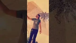 🇦🇪 number 1 decoration In UAE Dubai Life new video deira Dubai