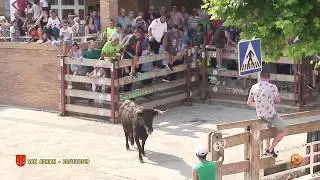 Tv San Adrian - 20/07/2019 - Juventud - Encierro