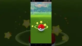 Shiny Ledyba