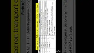 complexes of electron transport chain or system  | neet biology | class 11th biology  @inditeaching