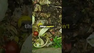 DIY Composting Tips Turn Your Trash into Garden Gold