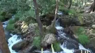 rio leça, da sua nascente até ao vale