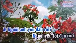 tan co bai ca ky niem moi dao