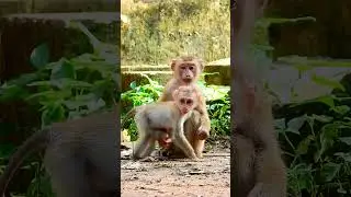 Cute mommy and her precious monkey