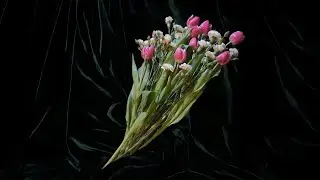 Her's - If You Know What's Right Вокал [HQ] [SB67 Mix]