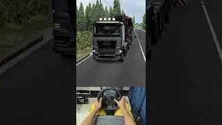 Cargo System Redefined ✅😍 #eurotrucksimulator2 #ets2 #mantgx #simulator #shorts