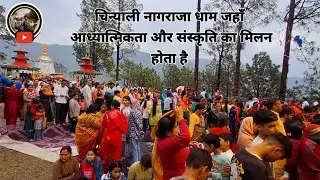 चिन्याली नागराजा धामजहाँ आध्यात्मिकता और संस्कृति का मिलन होता है || Chinyalisour Vikash joshi vlog