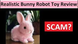 Realistic Bunny Robot Toy Review &ndash; Legit or Scam?