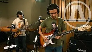 Thank You Scientist - A Wolf in Cheap Clothing | Audiotree Live