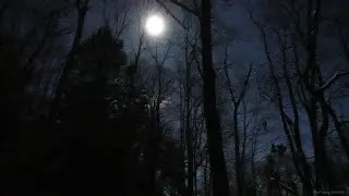 The Cold Moon - December 2025