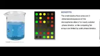xMAP Technology