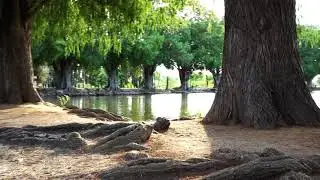 Fairmount Park Riverside, CA (Walkthrough)