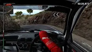 How i got the This is fine achievement in Dirt 4