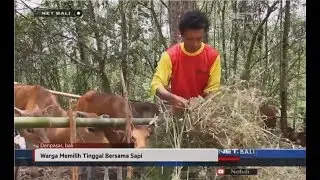 NET. BALI