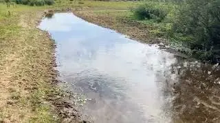 Beerze aan het grondwaterinfuus