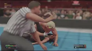 WWE 2K25!