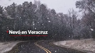 Veracruz bajo la nieve | Así se encuentra en estos momentos el Parque Nacional Cofre de Perote