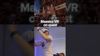 Maestro VR: Swan Lake