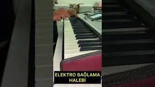 KİLİS HALEBİ KORG PA3X