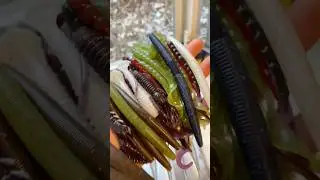 Making FREE Soft Plastic Lures! #baitmaking #luremaking #entrepreneur #fishing #custombaits