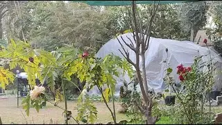 معلومات زراعية انت تسال ونحن نجيب بث مباشر حديقة ابو عبد الرحمن عالم الزراعة والنباتات المنزلية