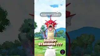 SHUNDO GYARADOS???😲#zephuzmi #pokemongo #pokemongoshorts #shinygyarados #gyarados #megaraid